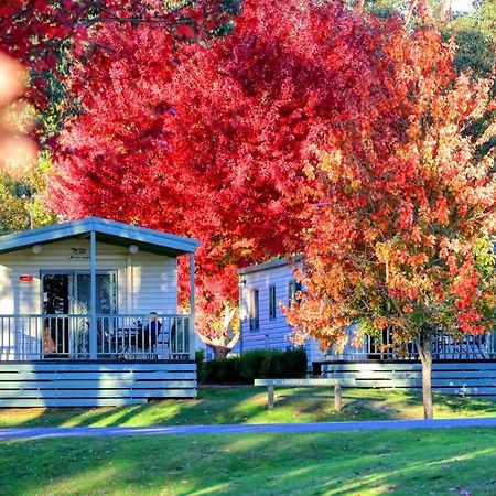 Beechworth Lake Sambell Caravan Park Экстерьер фото
