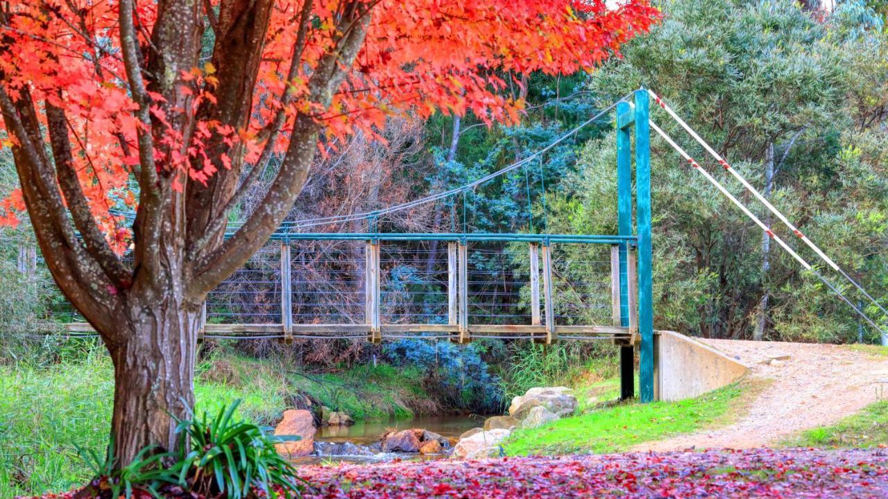 Beechworth Lake Sambell Caravan Park Экстерьер фото