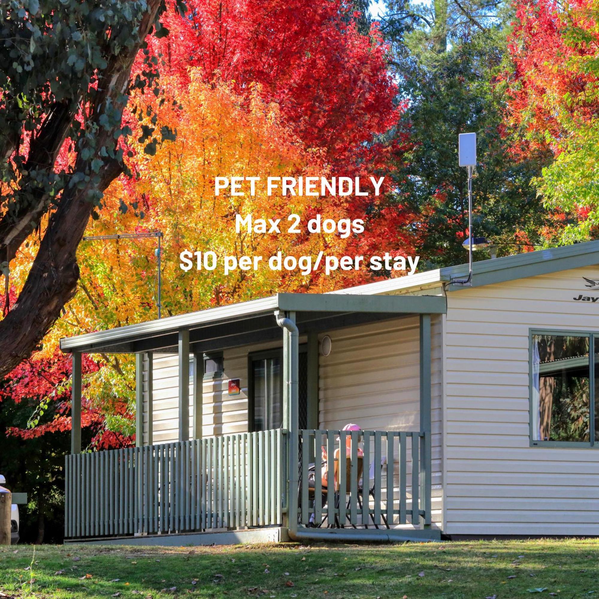 Beechworth Lake Sambell Caravan Park Экстерьер фото