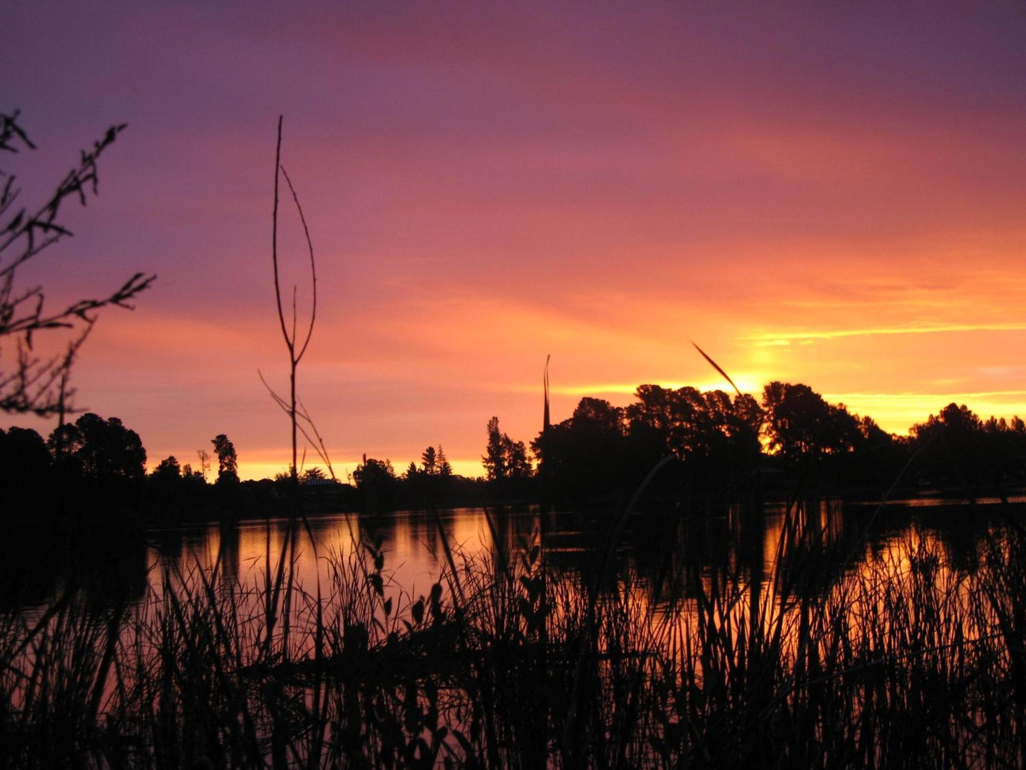 Beechworth Lake Sambell Caravan Park Экстерьер фото