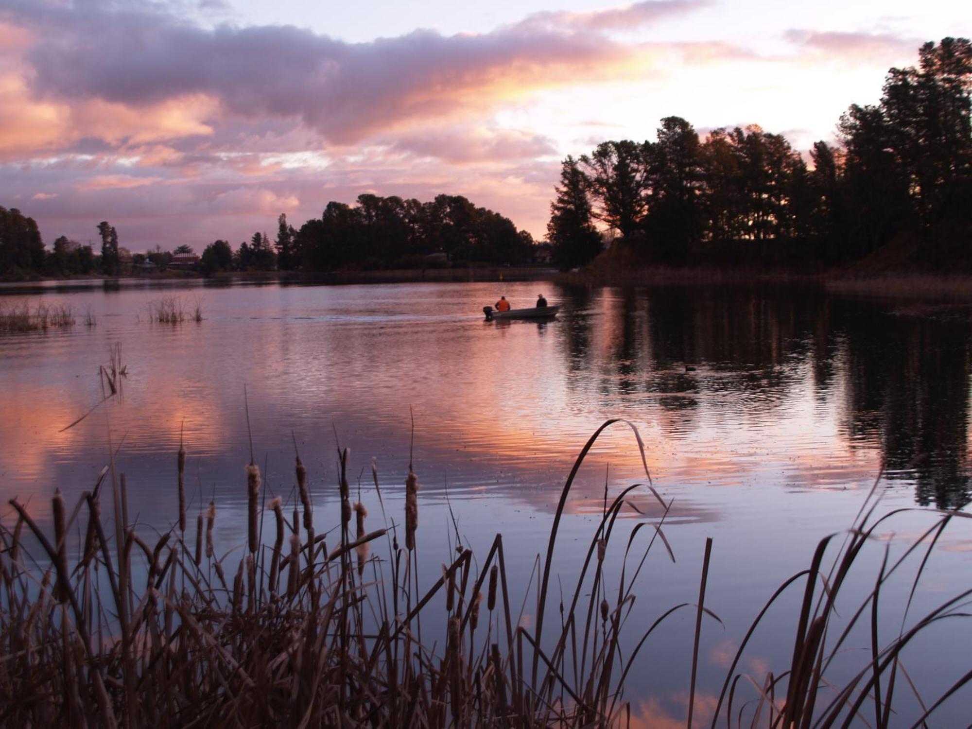 Beechworth Lake Sambell Caravan Park Экстерьер фото